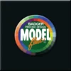 Badger MODELflex Paint - 16-01 Engine Black -Model Train Hub bad1601 66790.1671410830