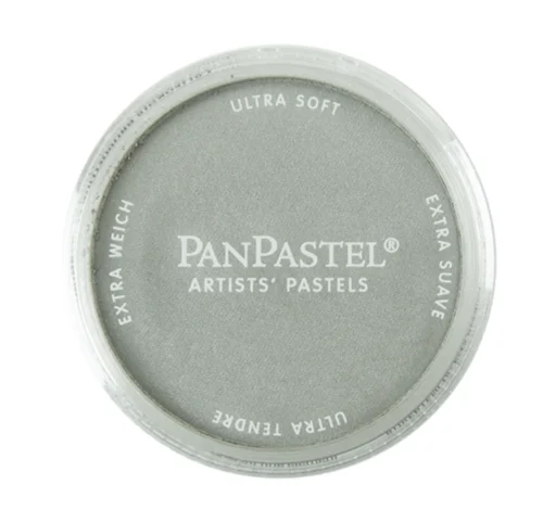 Pan Pastel 29205 - Metallic Silver