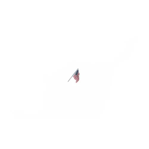 Woodland Scenics 5953 - US Flag Wall Mount Samll 0.535in - Any Scale